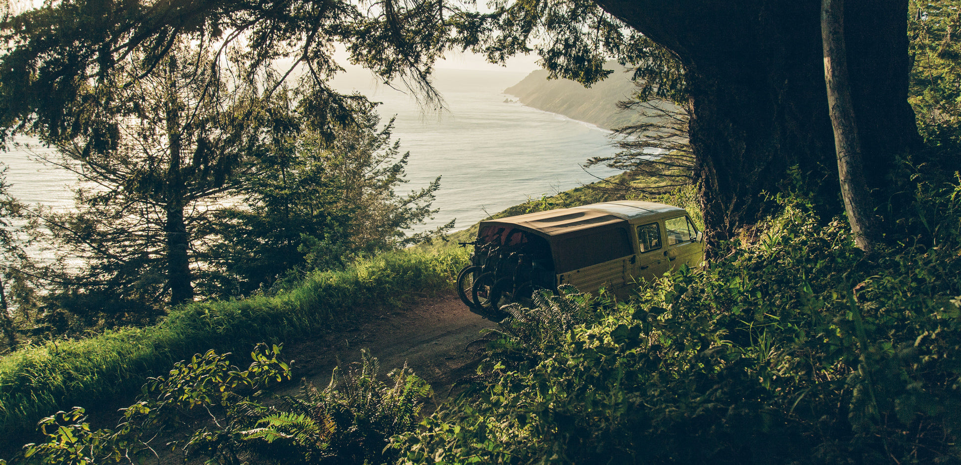 レセプションなし