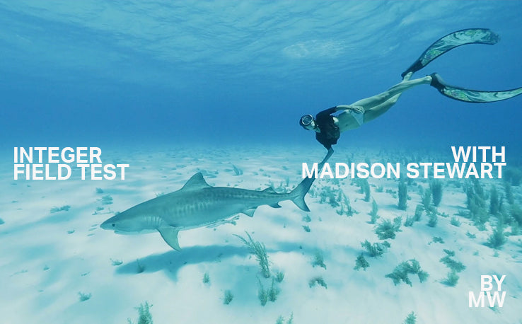 整数フィールドテスト