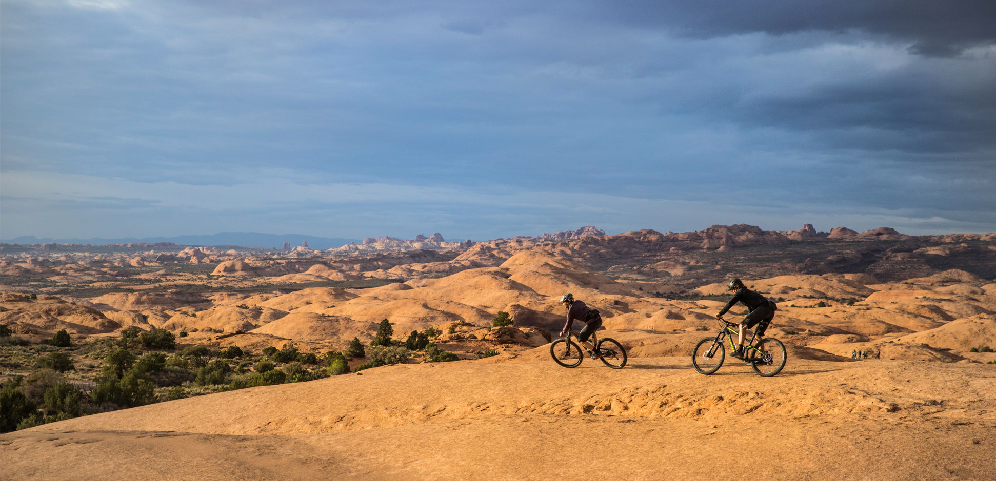 UTジェームズ・アダムソンとアクシス・フィールドテスト